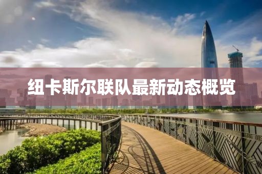 紐卡斯爾聯(lián)隊最新動態(tài)概覽