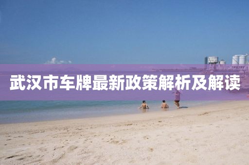 武漢市車牌最新政策解析及解讀