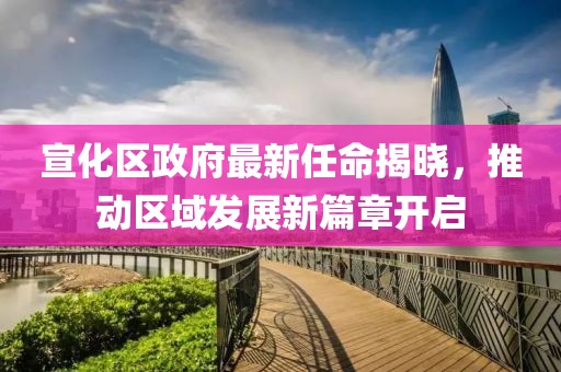 宣化區(qū)政府最新任命揭曉，推動區(qū)域發(fā)展新篇章開啟