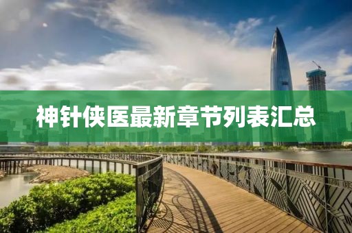 神針俠醫(yī)最新章節(jié)列表匯總