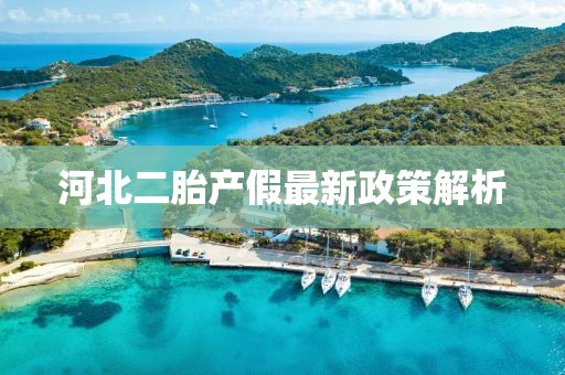 河北二胎產(chǎn)假最新政策解析