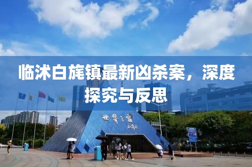 臨沭白旄鎮(zhèn)最新兇殺案，深度探究與反思