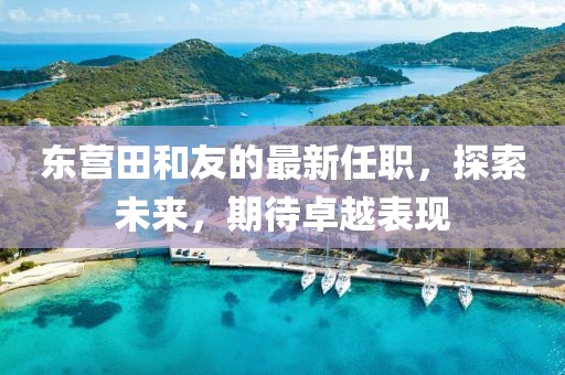 東營田和友的最新任職，探索未來，期待卓越表現(xiàn)
