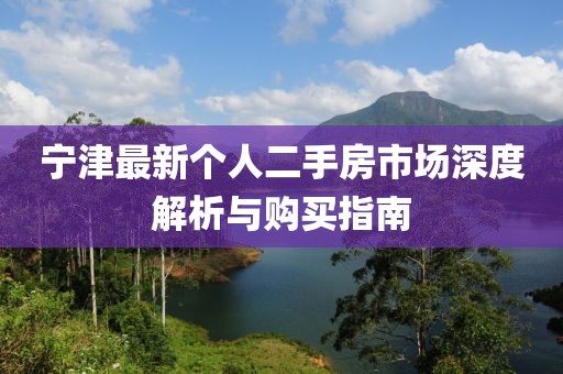 寧津最新個人二手房市場深度解析與購買指南