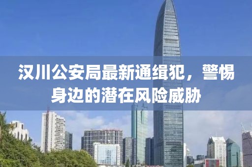 漢川公安局最新通緝犯，警惕身邊的潛在風險威脅