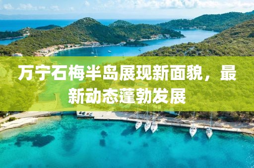 萬寧石梅半島展現(xiàn)新面貌，最新動態(tài)蓬勃發(fā)展