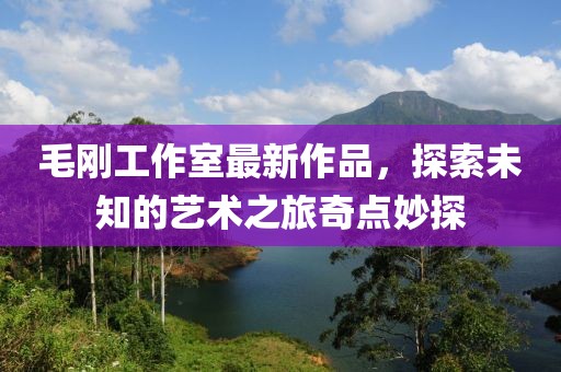 毛剛工作室最新作品，探索未知的藝術(shù)之旅奇點妙探