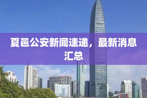 夏邑公安新聞速遞，最新消息匯總