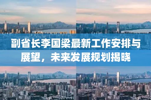 副省長(zhǎng)李國(guó)梁最新工作安排與展望，未來(lái)發(fā)展規(guī)劃揭曉