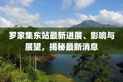 羅家集東站最新進(jìn)展、影響與展望，揭秘最新消息