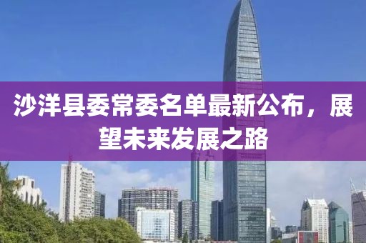 沙洋縣委常委名單最新公布，展望未來發(fā)展之路