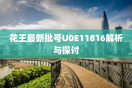 花王最新批號U0E11816解析與探討