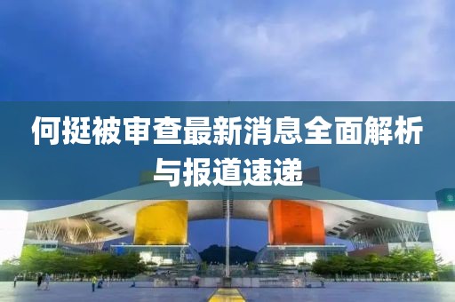 何挺被審查最新消息全面解析與報道速遞