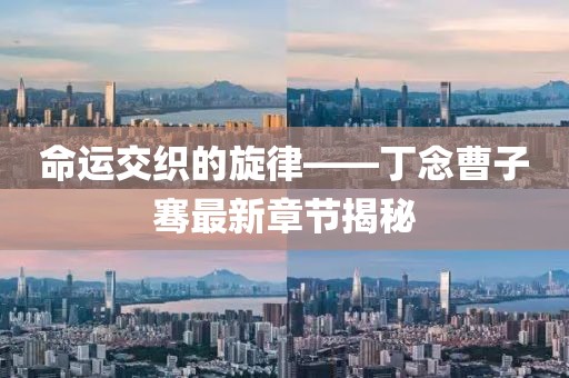 命運(yùn)交織的旋律——丁念曹子騫最新章節(jié)揭秘
