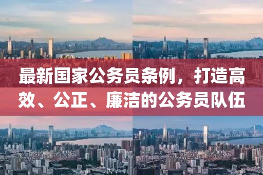 最新國(guó)家公務(wù)員條例，打造高效、公正、廉潔的公務(wù)員隊(duì)伍
