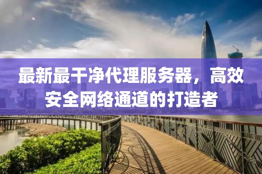 最新最干凈代理服務(wù)器，高效安全網(wǎng)絡(luò)通道的打造者