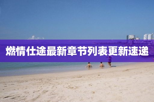 燃情仕途最新章節(jié)列表更新速遞