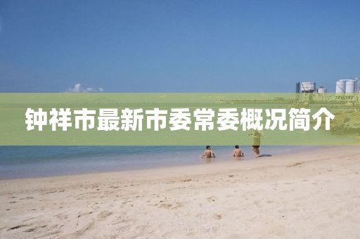 鐘祥市最新市委常委概況簡介