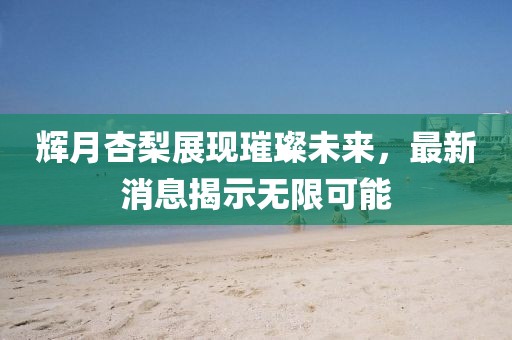 輝月杏梨展現(xiàn)璀璨未來，最新消息揭示無限可能
