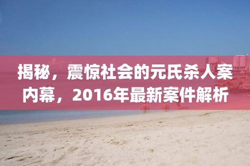 揭秘，震驚社會的元氏殺人案內(nèi)幕，2016年最新案件解析