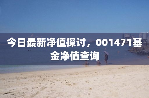今日最新凈值探討，001471基金凈值查詢