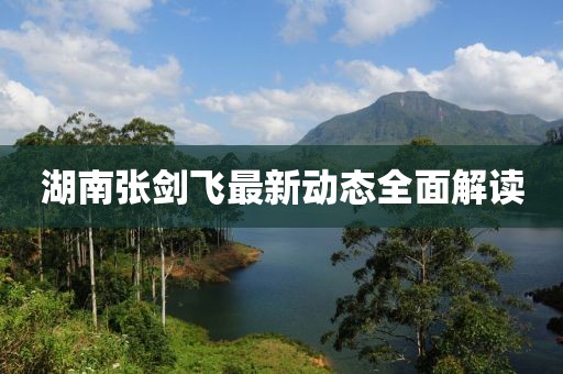 湖南張劍飛最新動(dòng)態(tài)全面解讀