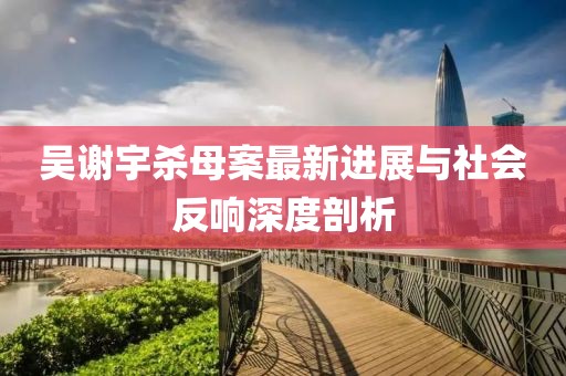 吳謝宇殺母案最新進(jìn)展與社會反響深度剖析
