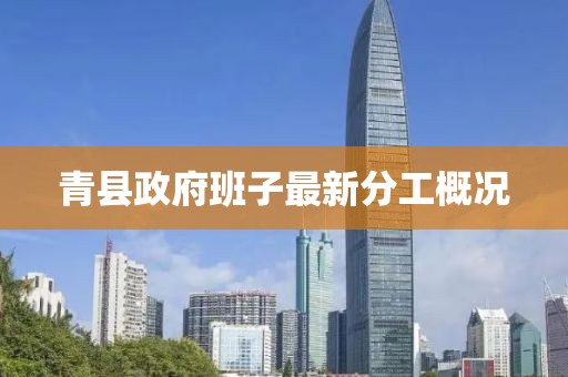 青縣政府班子最新分工概況