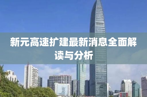 新元高速擴(kuò)建最新消息全面解讀與分析