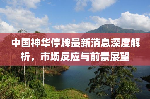 中國神華停牌最新消息深度解析，市場反應(yīng)與前景展望