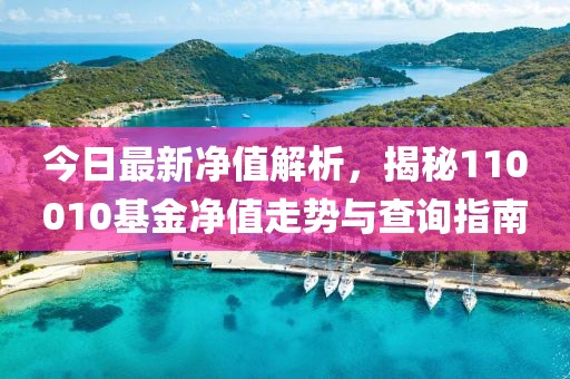 今日最新凈值解析，揭秘110010基金凈值走勢(shì)與查詢指南