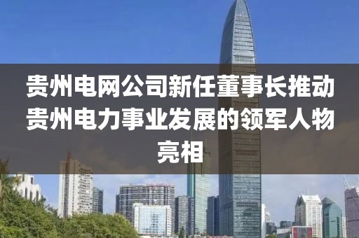 貴州電網(wǎng)公司新任董事長推動貴州電力事業(yè)發(fā)展的領(lǐng)軍人物亮相