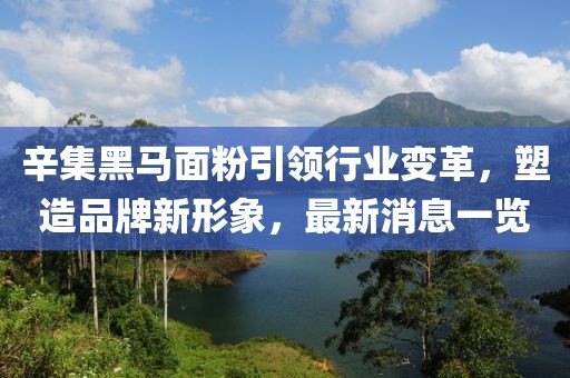 辛集黑馬面粉引領(lǐng)行業(yè)變革，塑造品牌新形象，最新消息一覽