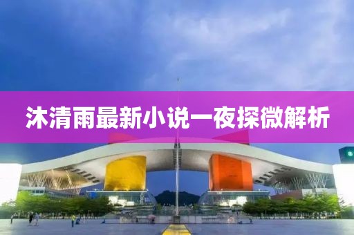 沐清雨最新小說一夜探微解析
