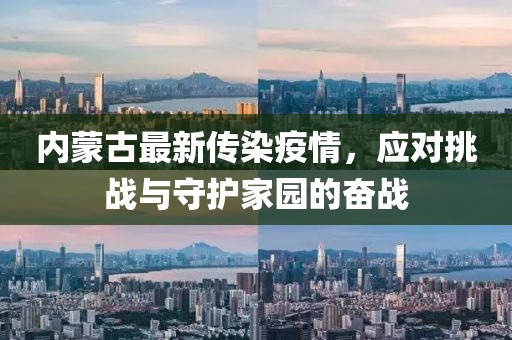 內(nèi)蒙古最新傳染疫情，應(yīng)對(duì)挑戰(zhàn)與守護(hù)家園的奮戰(zhàn)