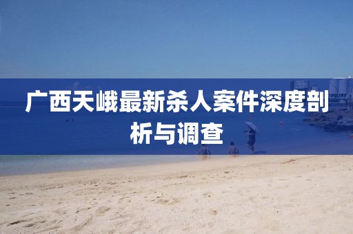 廣西天峨最新殺人案件深度剖析與調查