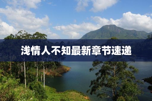 淺情人不知最新章節(jié)速遞