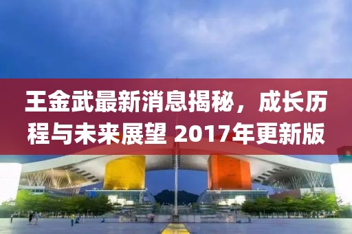 王金武最新消息揭秘，成長歷程與未來展望 2017年更新版