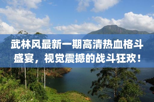 武林風(fēng)最新一期高清熱血格斗盛宴，視覺(jué)震撼的戰(zhàn)斗狂歡！