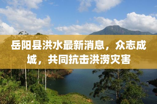 岳陽縣洪水最新消息，眾志成城，共同抗擊洪澇災(zāi)害