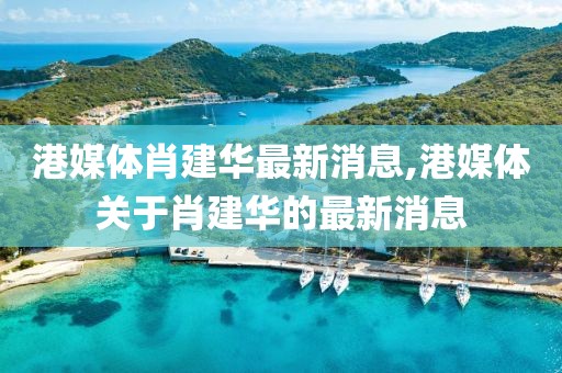 港媒體肖建華最新消息,港媒體關(guān)于肖建華的最新消息