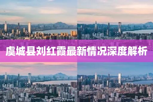 虞城縣劉紅霞最新情況深度解析