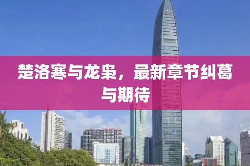 楚洛寒與龍梟，最新章節(jié)糾葛與期待