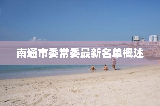南通市委常委最新名單概述