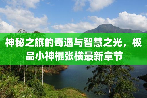神秘之旅的奇遇與智慧之光，極品小神棍張橫最新章節(jié)