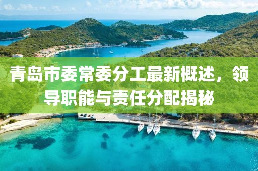 青島市委常委分工最新概述，領(lǐng)導(dǎo)職能與責(zé)任分配揭秘