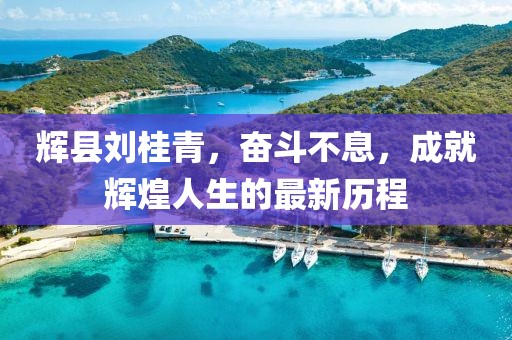 輝縣劉桂青，奮斗不息，成就輝煌人生的最新歷程