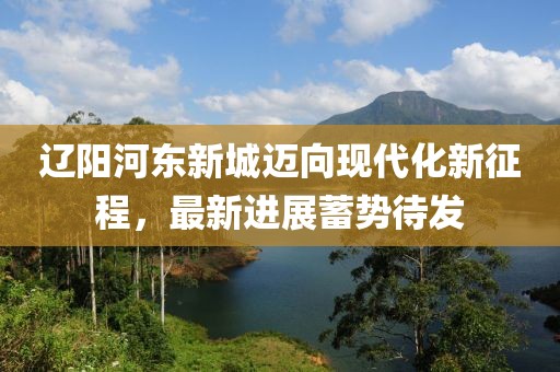 遼陽(yáng)河?xùn)|新城邁向現(xiàn)代化新征程，最新進(jìn)展蓄勢(shì)待發(fā)