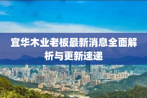 宜華木業(yè)老板最新消息全面解析與更新速遞