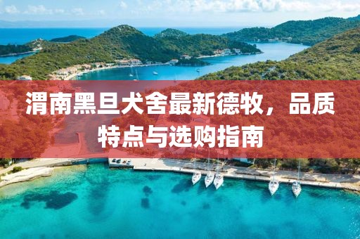 渭南黑旦犬舍最新德牧，品質(zhì)特點(diǎn)與選購(gòu)指南